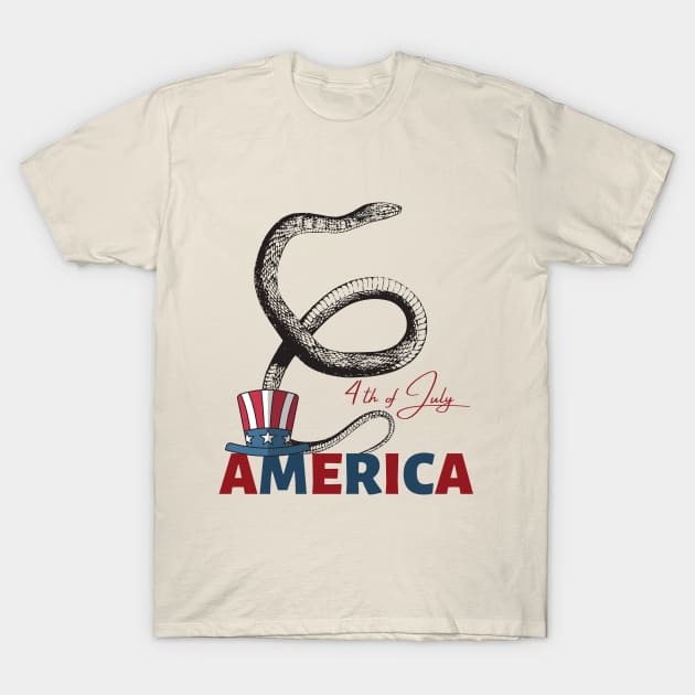 4th of July, Independence day USA T-Shirt by Sam D